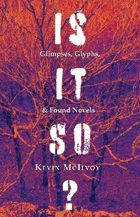 Cover Is It So? Glimpses, Glyphs, & Found Novels