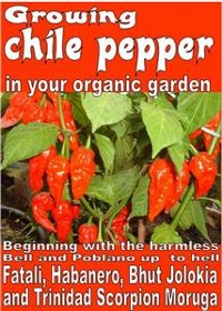 Cover Growing chile pepper in your organic  garden