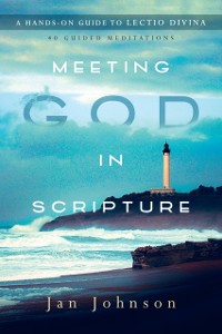 Cover Meeting God in Scripture