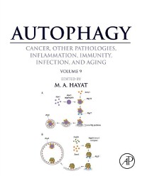 Cover Autophagy: Cancer, Other Pathologies, Inflammation, Immunity, Infection, and Aging