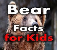 Cover Bear Facts for Kids