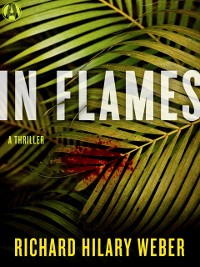 Cover In Flames