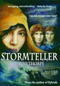 Cover Stormteller