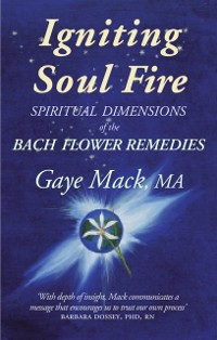 Cover Igniting Soul Fire
