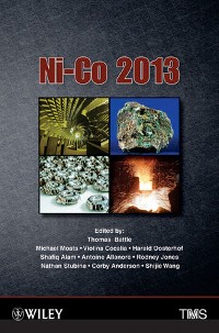 Cover Ni-Co 2013