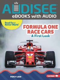 Cover Formula One Race Cars