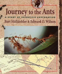 Cover Journey to the Ants