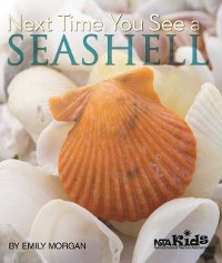 Cover Next Time You See a Seashell