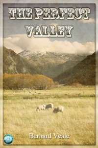 Cover Perfect Valley