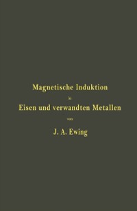 Cover Magnetische Induktion in Eisen und verwandten Metallen