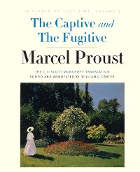 Cover Captive and The Fugitive