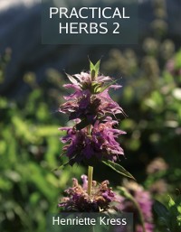 Cover Practical Herbs 2