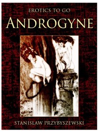 Cover Androgyne