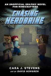 Cover Chasing Herobrine