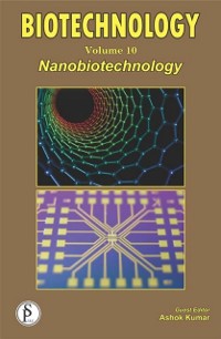 Cover Biotechnology (Nanobiotechnology)