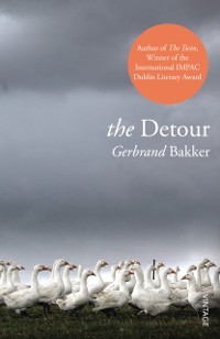 Cover Detour