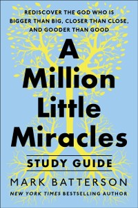 Cover Million Little Miracles Study Guide