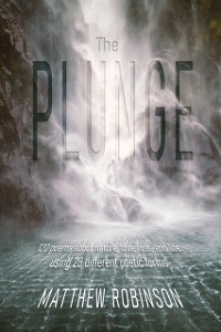 Cover Plunge