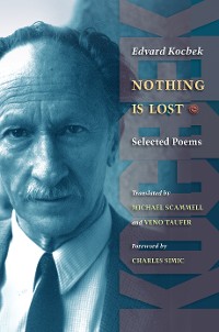 Cover Nothing is Lost