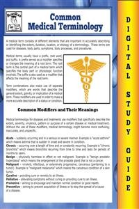 Cover Common Medical Terminology (Blokehead Easy Study Guide)