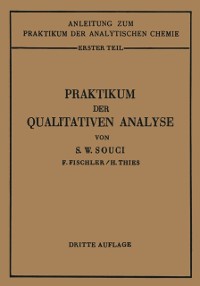 Cover Praktikum der qualitativen Analyse