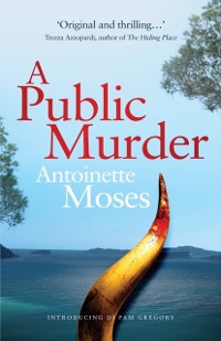 Cover A Public Murder : Introducing DI Pam Gregory