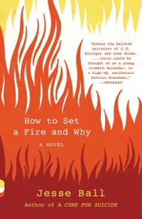 Cover How to Set a Fire and Why