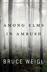Cover Among Elms, in Ambush