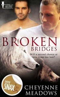 Cover Broken Bridges