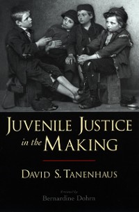 Cover Juvenile Justice in the Making