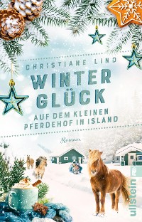 Cover Winterglück auf dem kleinen Pferdehof in Island