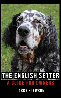 Cover The English Setter