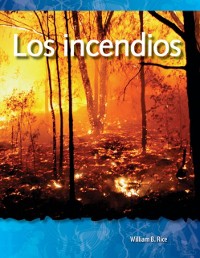 Cover Los incendios (Fires)
