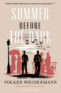 Cover Summer Before the Dark