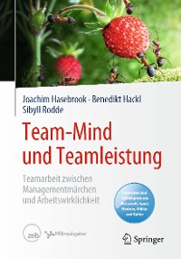Cover Team-Mind und Teamleistung