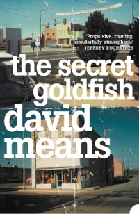 Cover Secret Goldfish