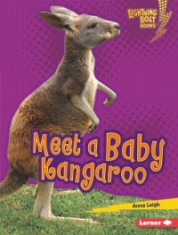 Cover Meet a Baby Kangaroo