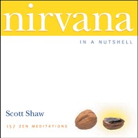 Cover Nirvana in a Nutshell
