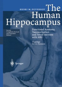 Cover Human Hippocampus