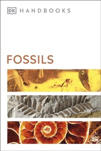 Cover Fossils