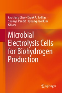 Cover Microbial Electrolysis Cells for Biohydrogen Production