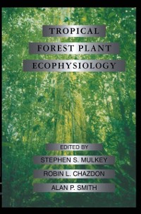 Cover Tropical Forest Plant Ecophysiology