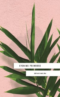 Cover Evening Primrose: a heart-wrenching novel for our times