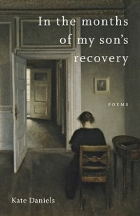 Cover In the Months of My Son's Recovery