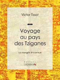 Cover Voyage au pays des Tziganes