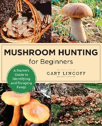 Cover Mushroom Hunting for Beginners