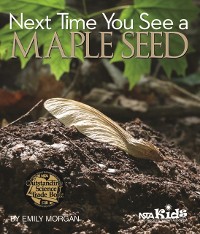 Cover Next Time You See a Maple Seed