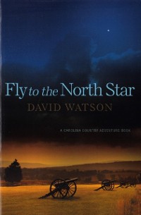 Cover Fly To The North Star