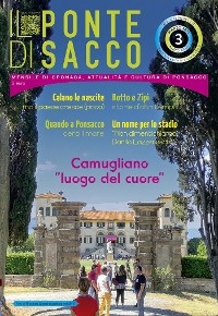 Cover Il Ponte Di Sacco - marzo 2021