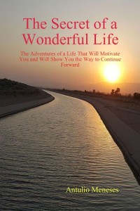 Cover Secret of a Wonderful Life: The Adventures of a Life That Will Motivate You and Will Show You the Way to Continue Forward